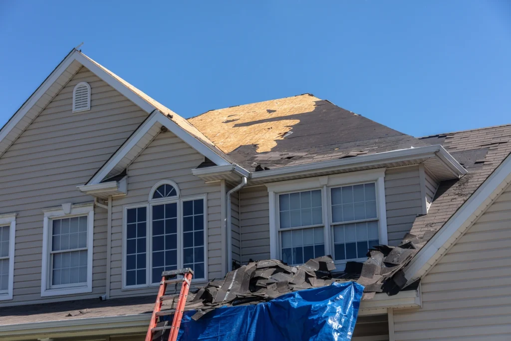plywood under the shingles of the roof
