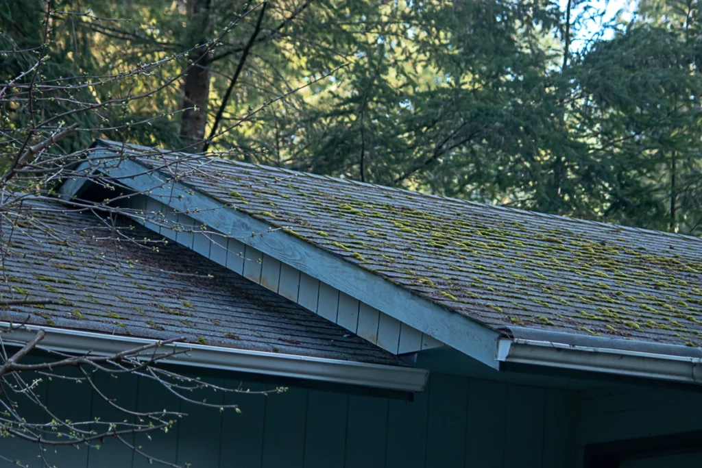 get-rid-of-roof-moss