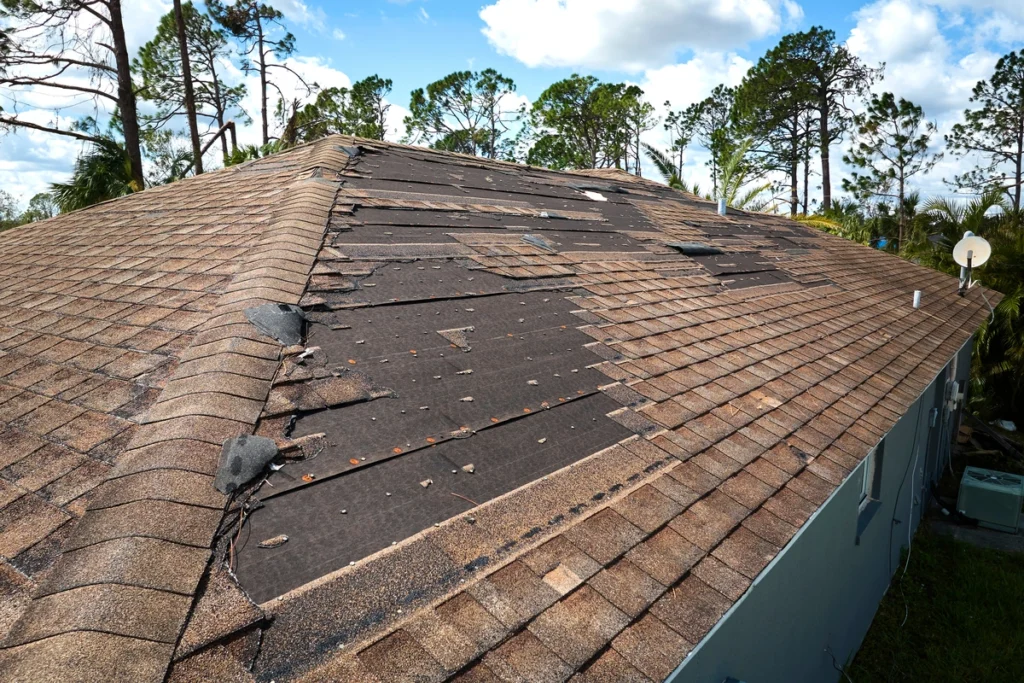 old-roof-needs-work
