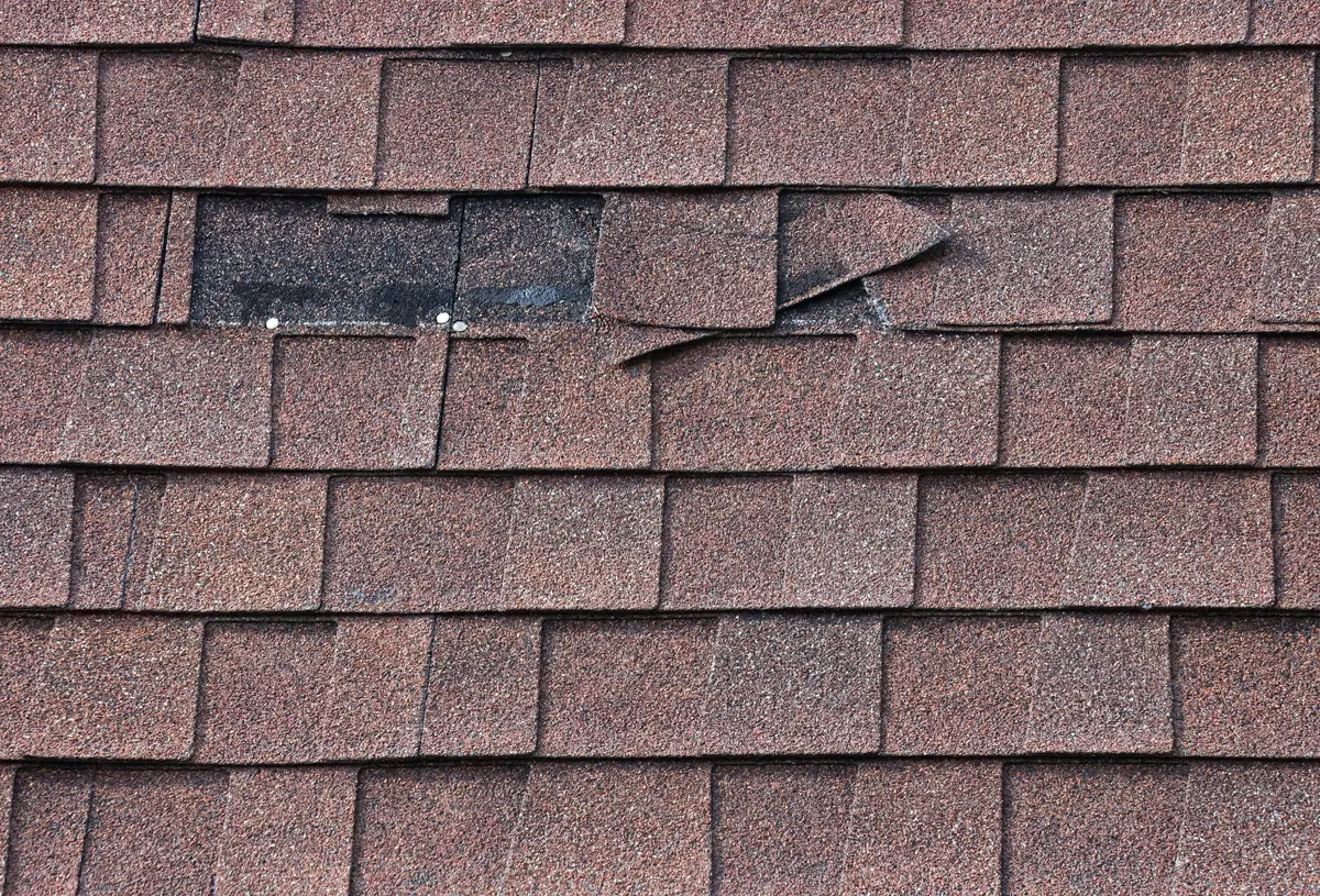 missing shingle