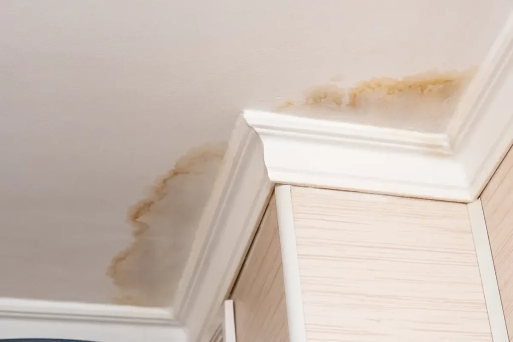 stains on ceiling