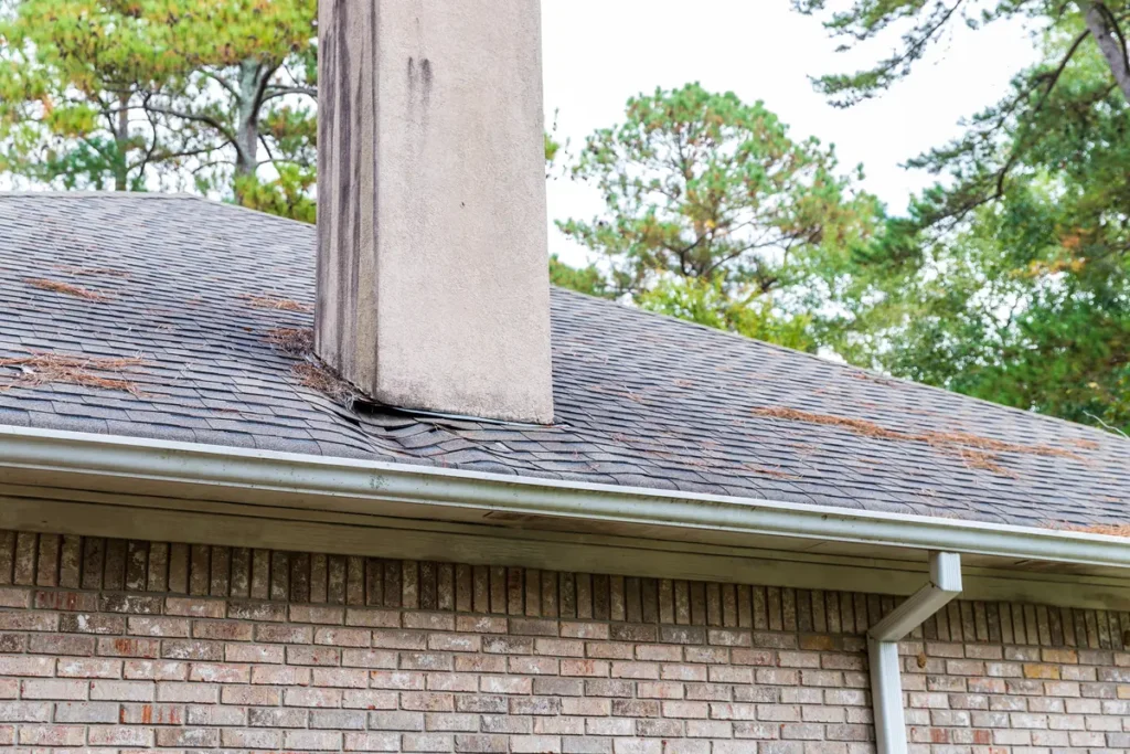 water damaged roof