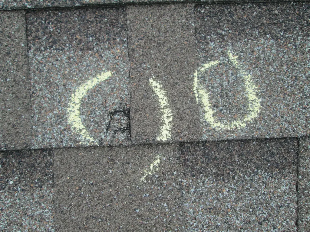 hail damaged shingle