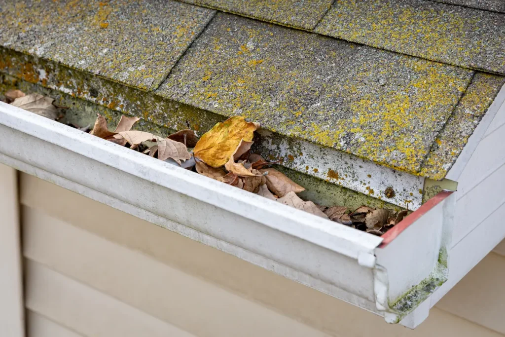 mold on gutters