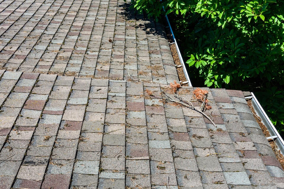how to clean roof shingles-close up of debris on a shingle roof