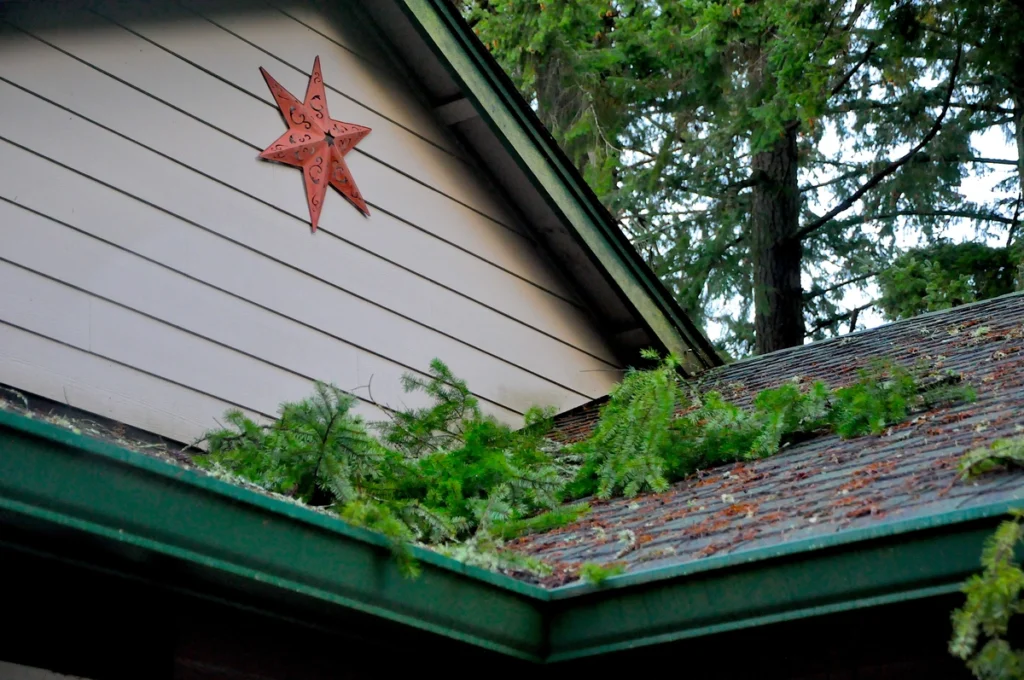 storm damage roof