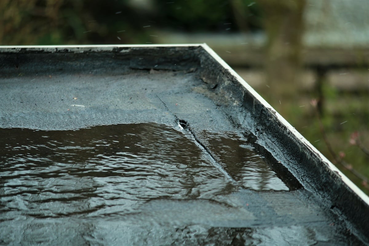 pooling water flat roof leak