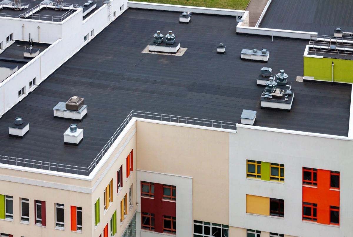 flat roofs black