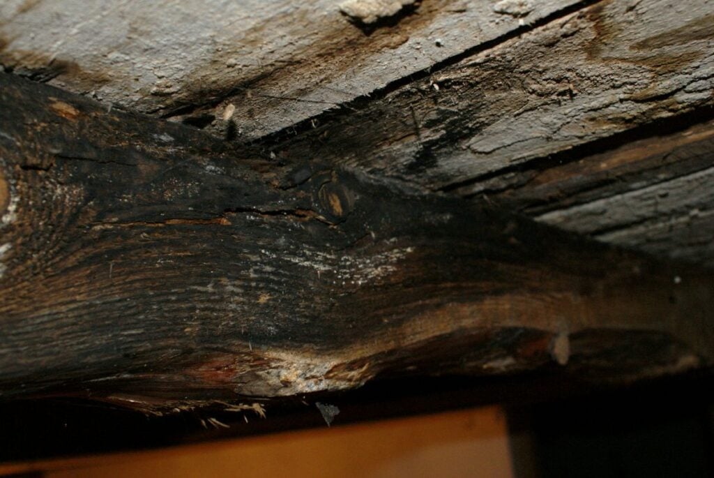 signs of roof leak in attic wood damaged