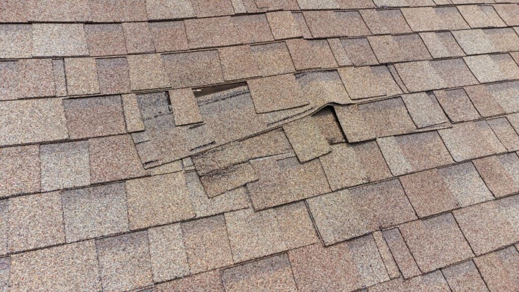 damaged roof shingles in need of repair